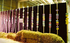 barrack with hay and kids' questions