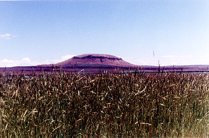 Abalone Mountain