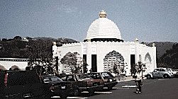 Temple whole grounds